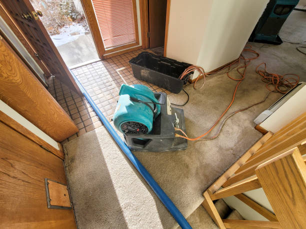 Water damage restoration mold remediation in VA