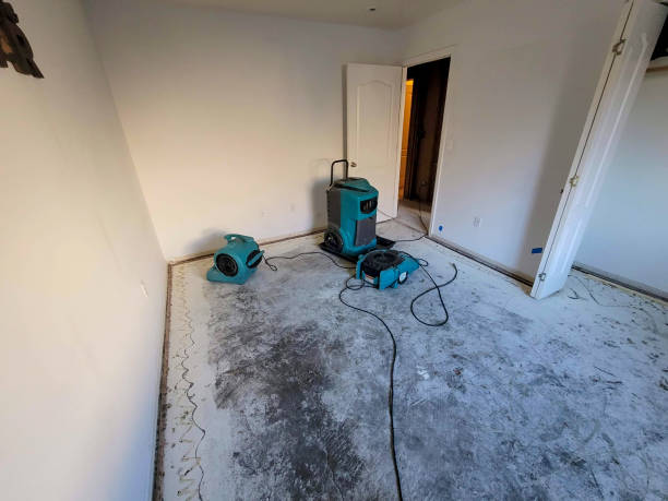 Best Carpet water damage restoration  in Fairlawn, VA