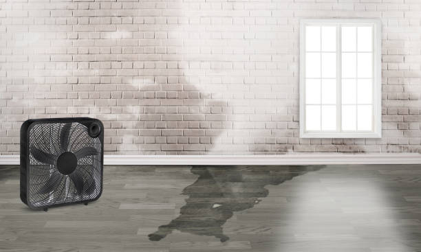 Best Local water damage restoration  in Fairlawn, VA