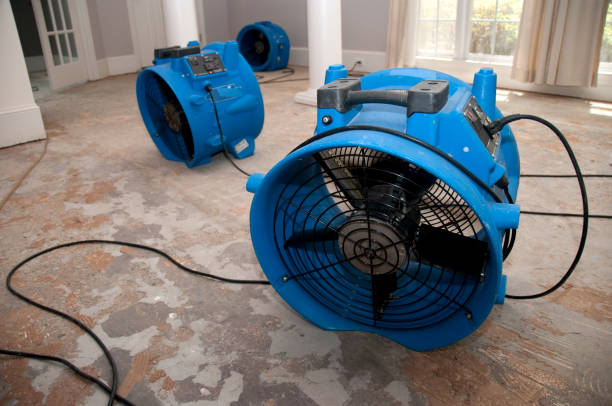 Best Water damage restoration near me  in Fairlawn, VA