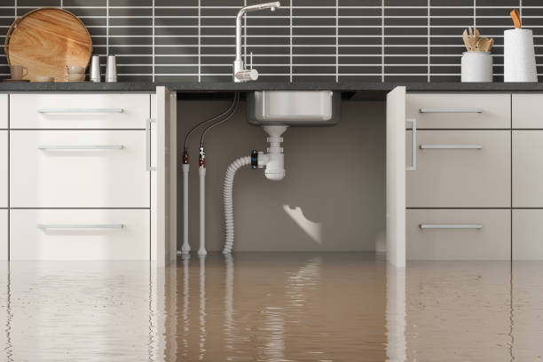 Best Basement water damage restoration  in Fairlawn, VA