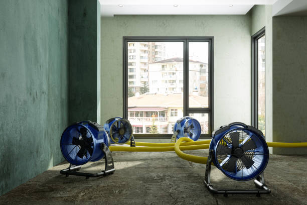 Best 24/7 water damage repair  in Fairlawn, VA
